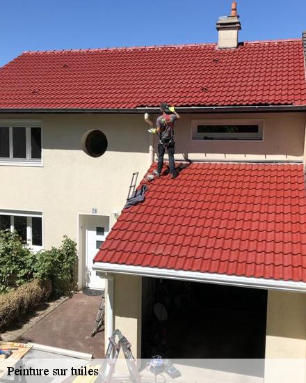 Peinture sur tuiles Eure-et-Loir 