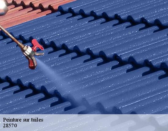 Peinture sur tuiles  28570