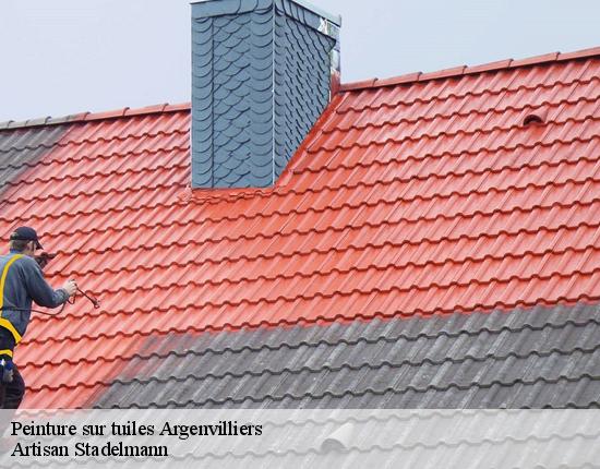 Peinture sur tuiles  28420