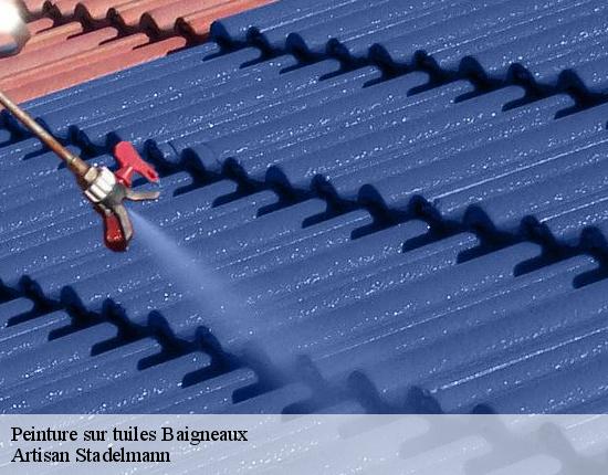 Peinture sur tuiles  28140