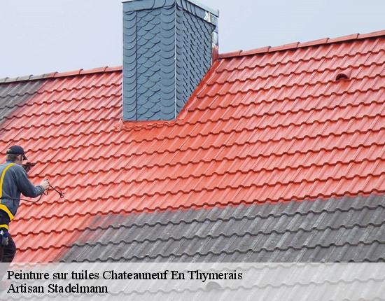 Peinture sur tuiles  28170
