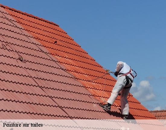 Peinture sur tuiles  28190