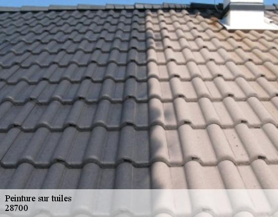 Peinture sur tuiles  28700