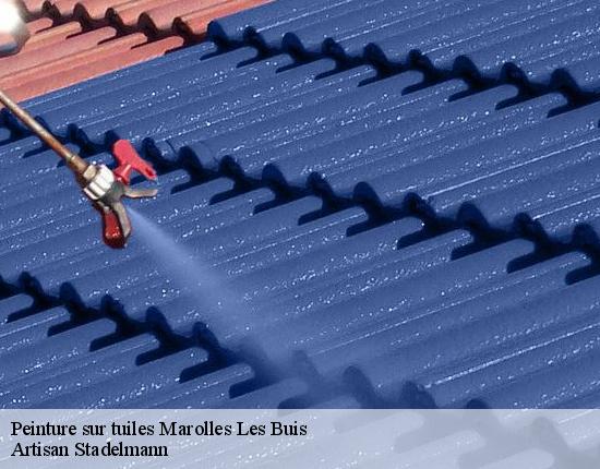 Peinture sur tuiles  28400