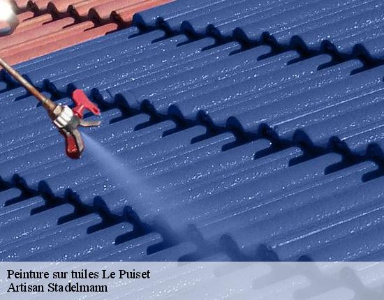 Peinture sur tuiles  28310