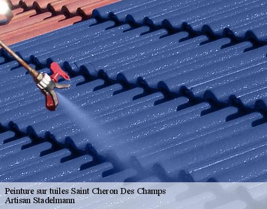 Peinture sur tuiles  28170