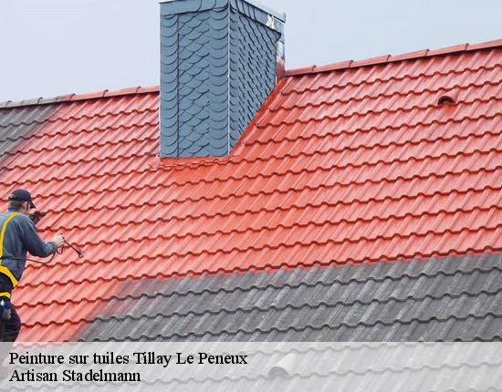 Peinture sur tuiles  28140