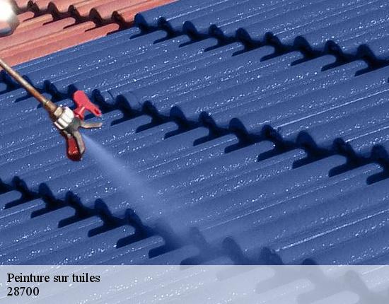 Peinture sur tuiles  28700