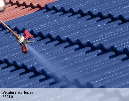 Peinture sur tuiles 28210