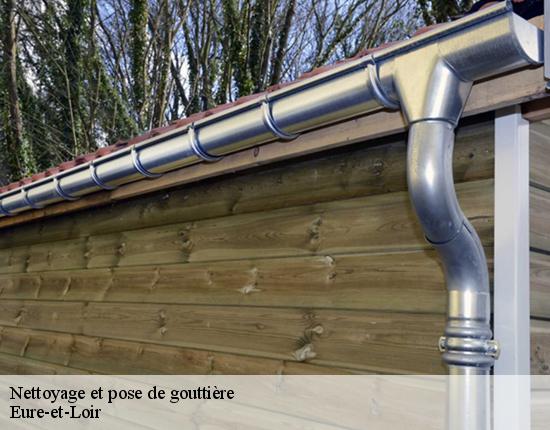 Nettoyage et pose de gouttière Eure-et-Loir 