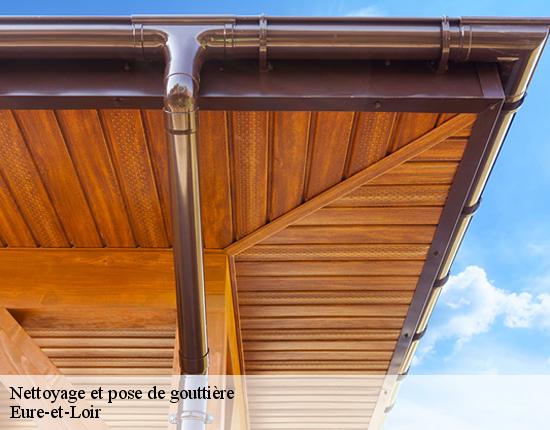 Nettoyage et pose de gouttière Eure-et-Loir 