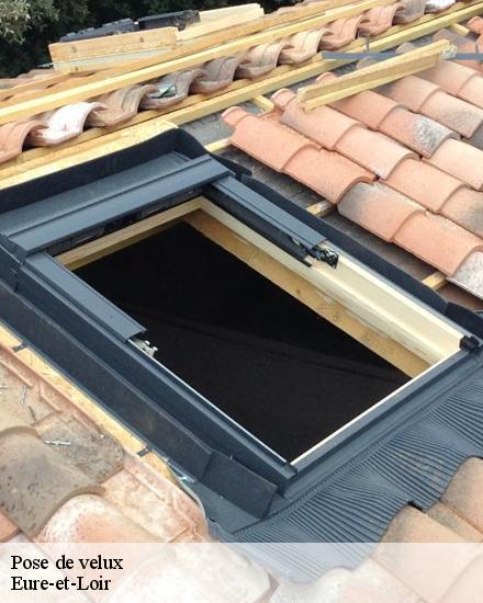 Pose de velux Eure-et-Loir 