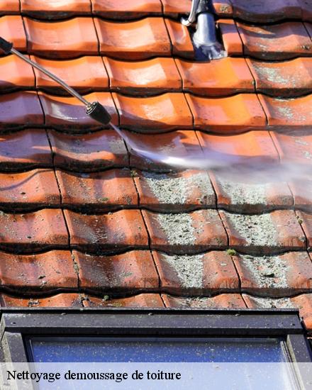 Nettoyage demoussage de toiture Eure-et-Loir 