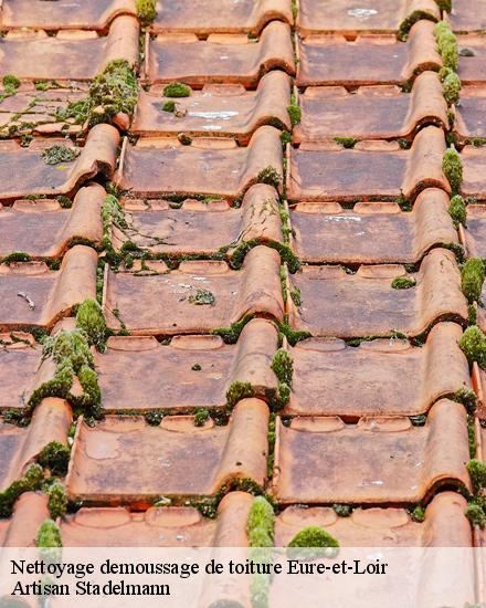 Nettoyage demoussage de toiture Eure-et-Loir 