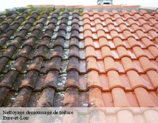 Nettoyage demoussage de toiture Eure-et-Loir 