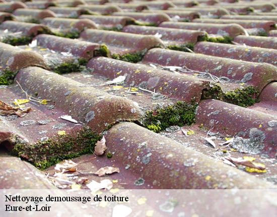 Nettoyage demoussage de toiture Eure-et-Loir 