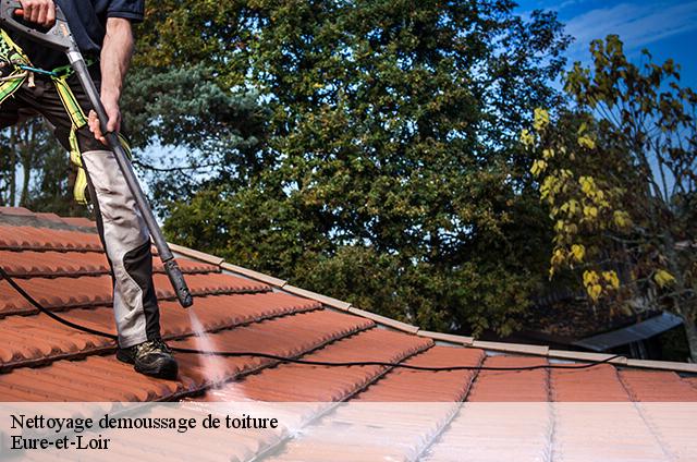 Nettoyage demoussage de toiture Eure-et-Loir 