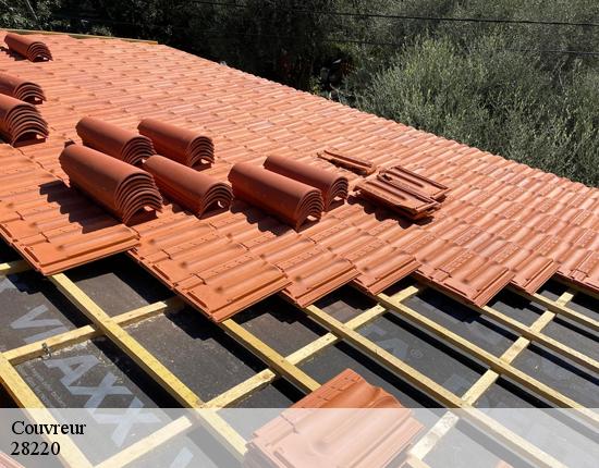 Couvreur 28220