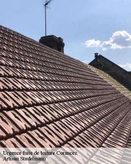 Urgence fuite de toiture  28630