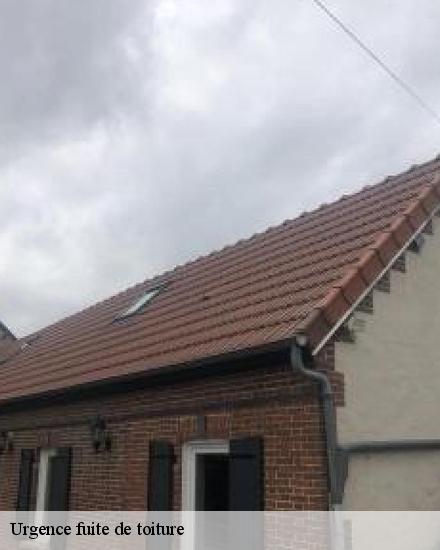 Urgence fuite de toiture  28200