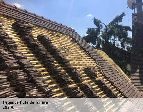 Urgence fuite de toiture  28200