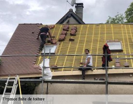 Urgence fuite de toiture  28200