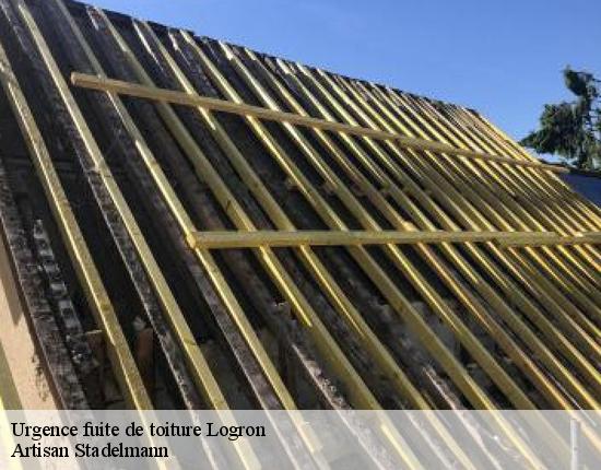 Urgence fuite de toiture  28200