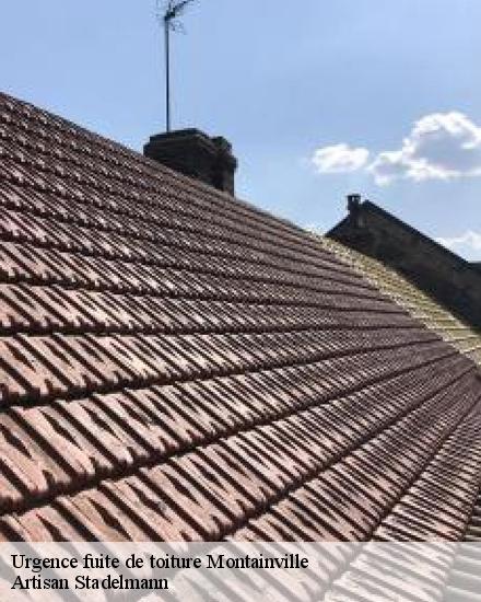 Urgence fuite de toiture  28150