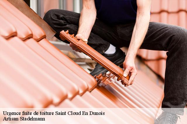 Urgence fuite de toiture  saint-cloud-en-dunois-28200 Artisan Stadelmann