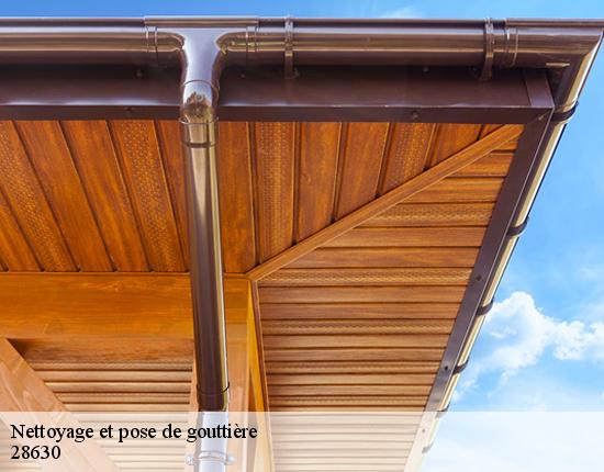 Nettoyage et pose de gouttière  28630