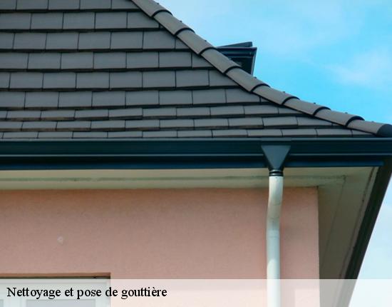 Nettoyage et pose de gouttière  28270