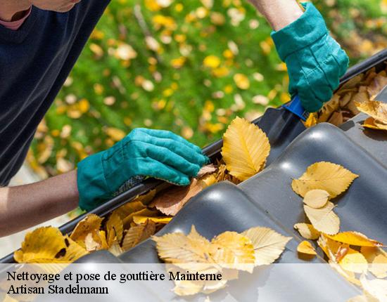 Nettoyage et pose de gouttière  28270