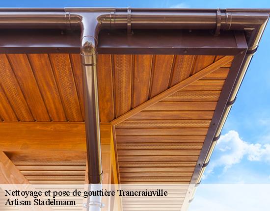 Nettoyage et pose de gouttière  28310