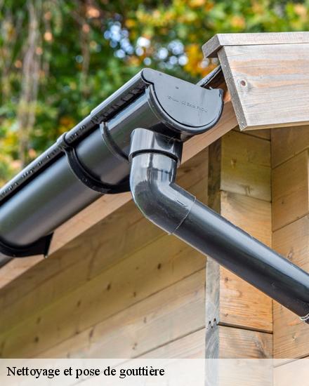 Nettoyage et pose de gouttière  28700