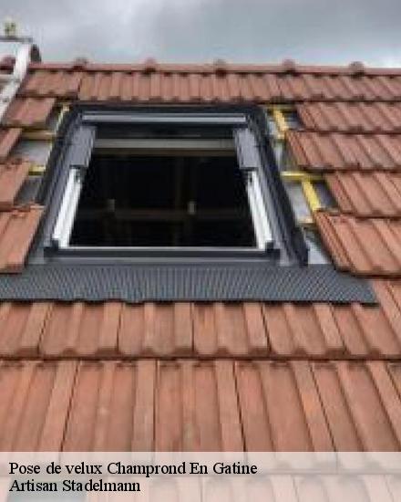 Pose de velux  28240