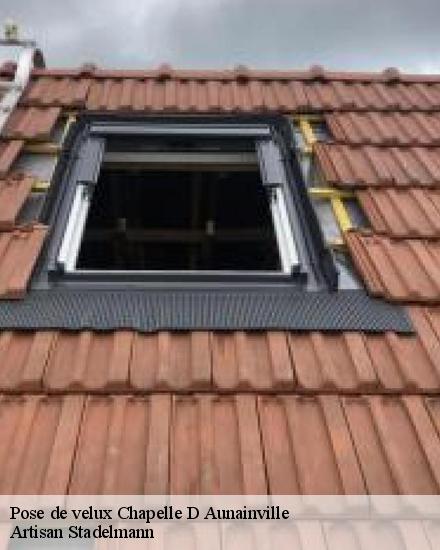 Pose de velux  28700