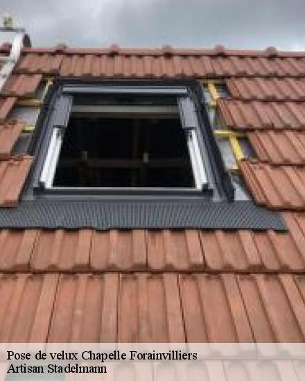 Pose de velux  28500