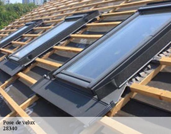 Pose de velux  28340