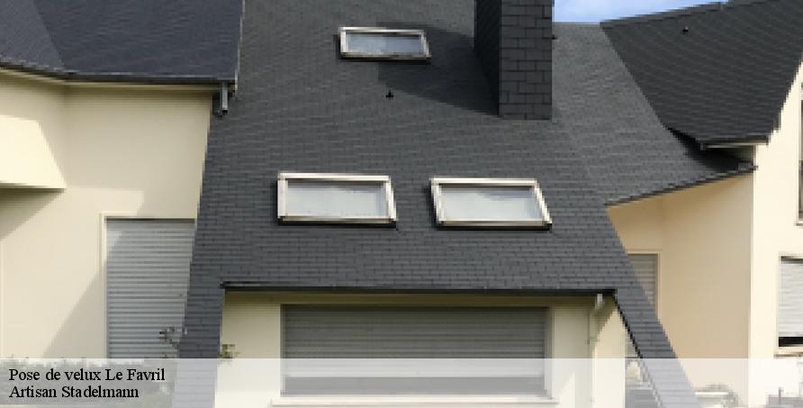 Pose de velux  le-favril-28190 Artisan Stadelmann