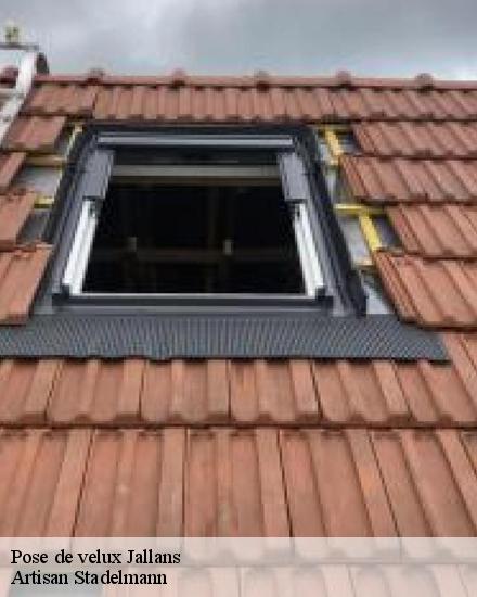 Pose de velux  28200
