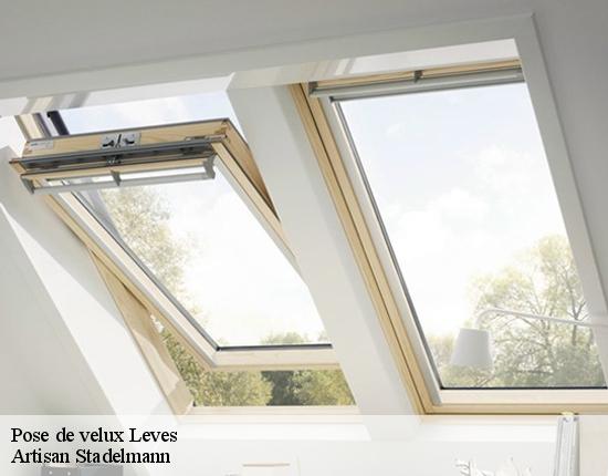 Pose de velux  28300
