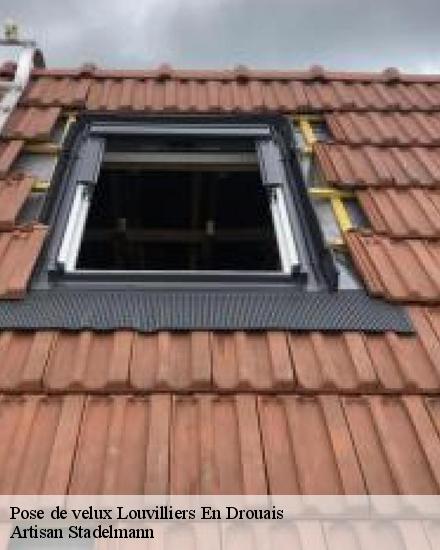 Pose de velux  28500
