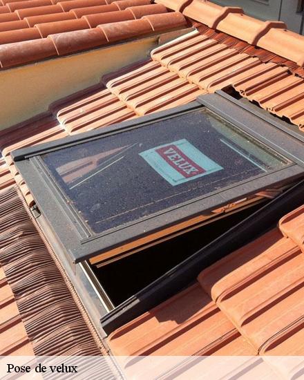 Pose de velux  28300