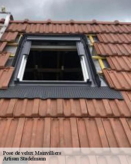 Pose de velux  28300