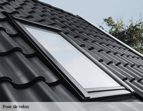 Pose de velux  28300