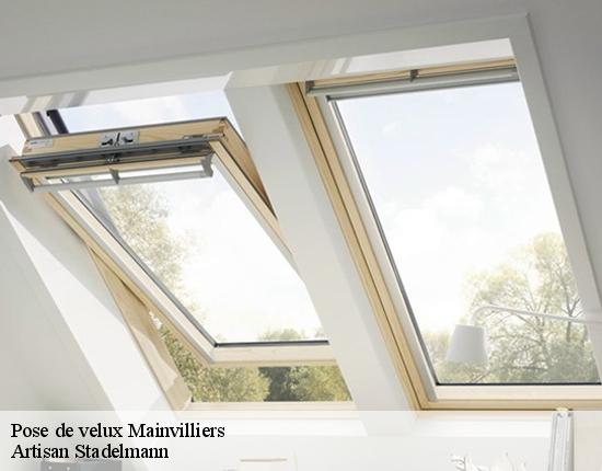 Pose de velux  28300