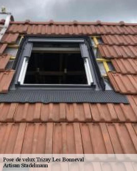 Pose de velux  28800