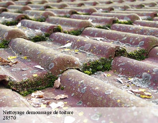 Nettoyage demoussage de toiture  28570