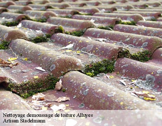Nettoyage demoussage de toiture  28800