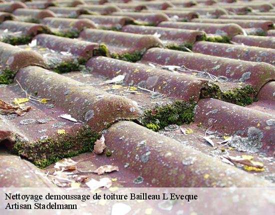 Nettoyage demoussage de toiture  28300